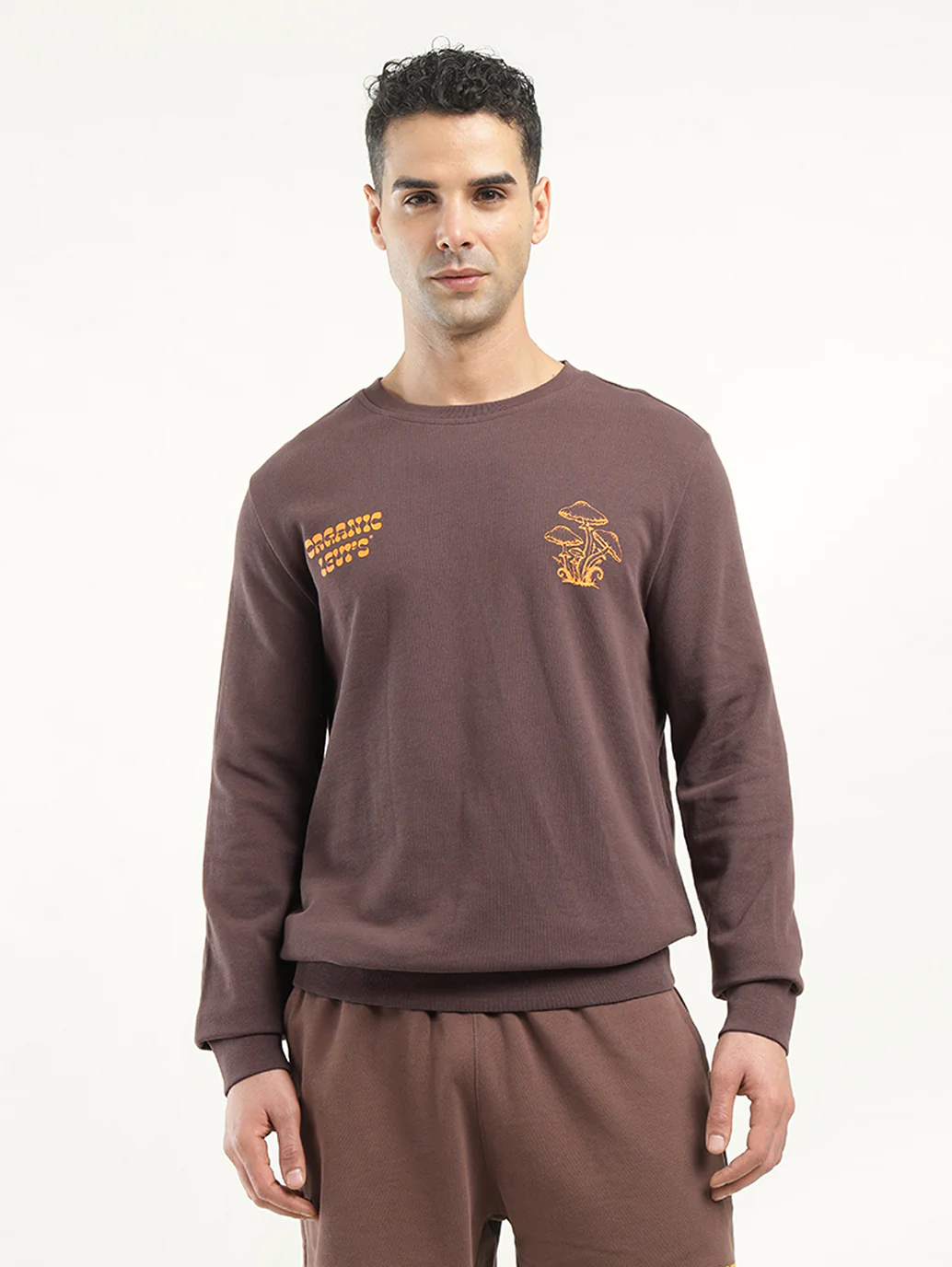 Men's Solid Crew Neck Sweatshirt - Image 2