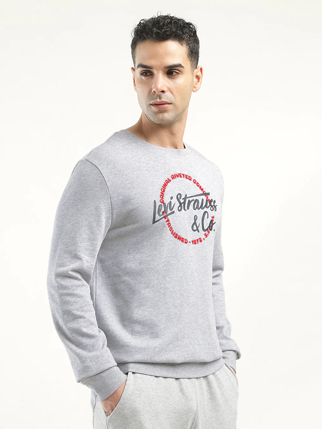 Men's Solid Grey Crew Neck Sweatshirt - Image 5